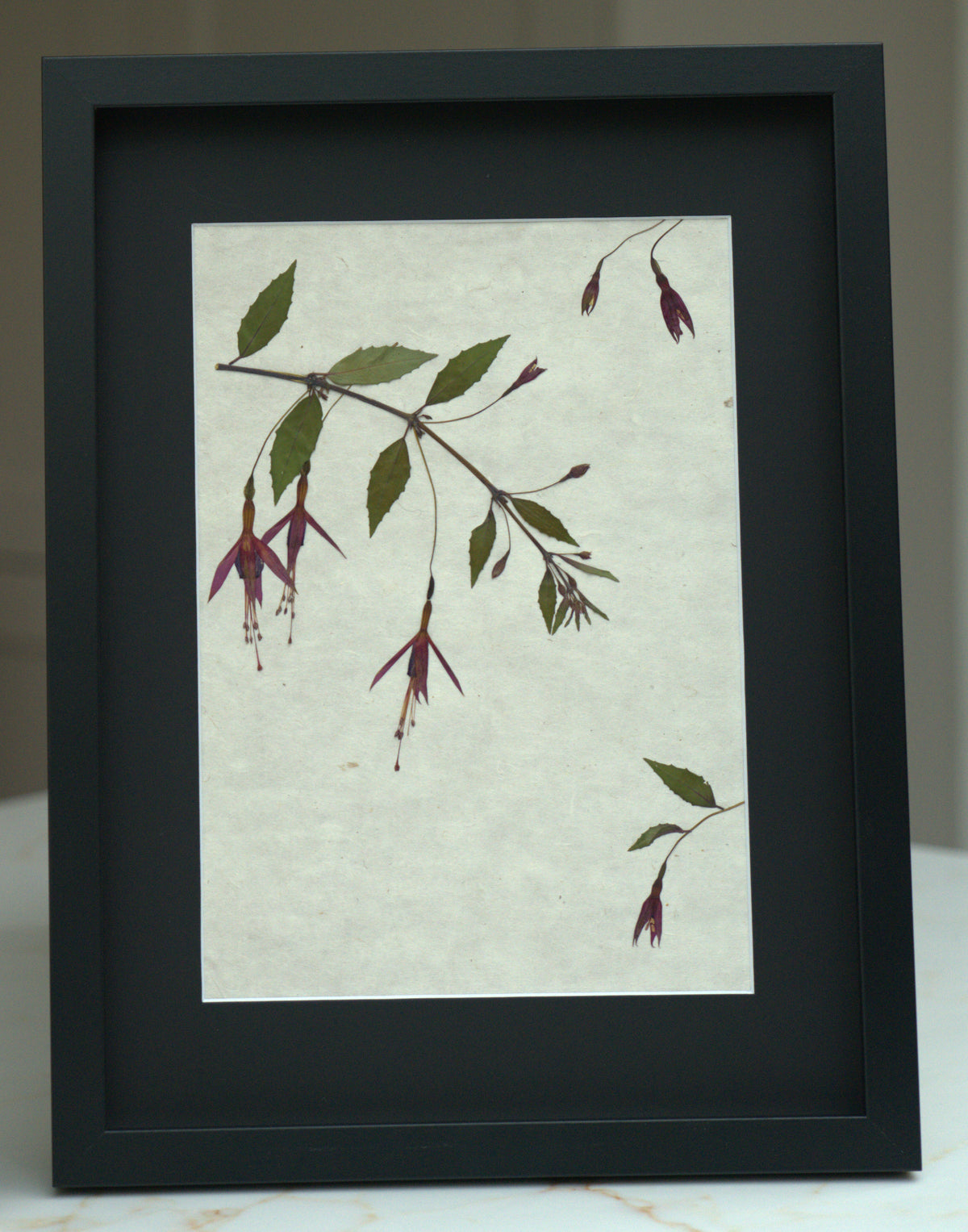 Pressed Flowers: Fuchsia