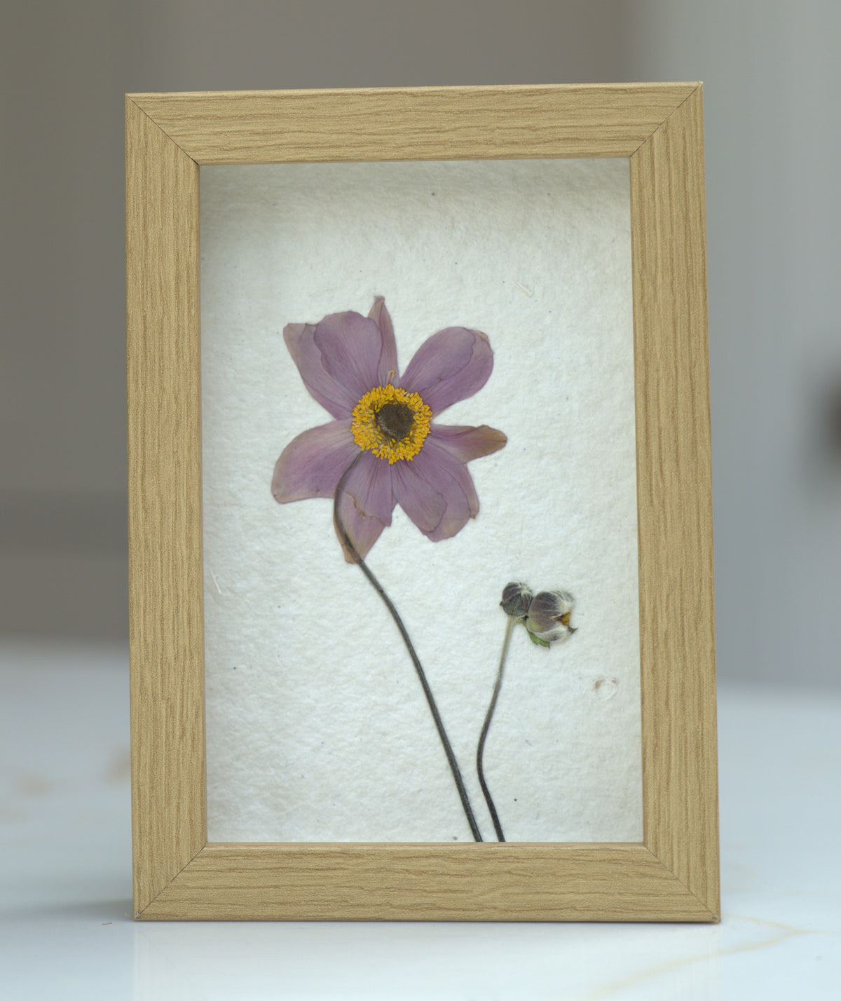 Pressed Flowers: Japanese Anemone