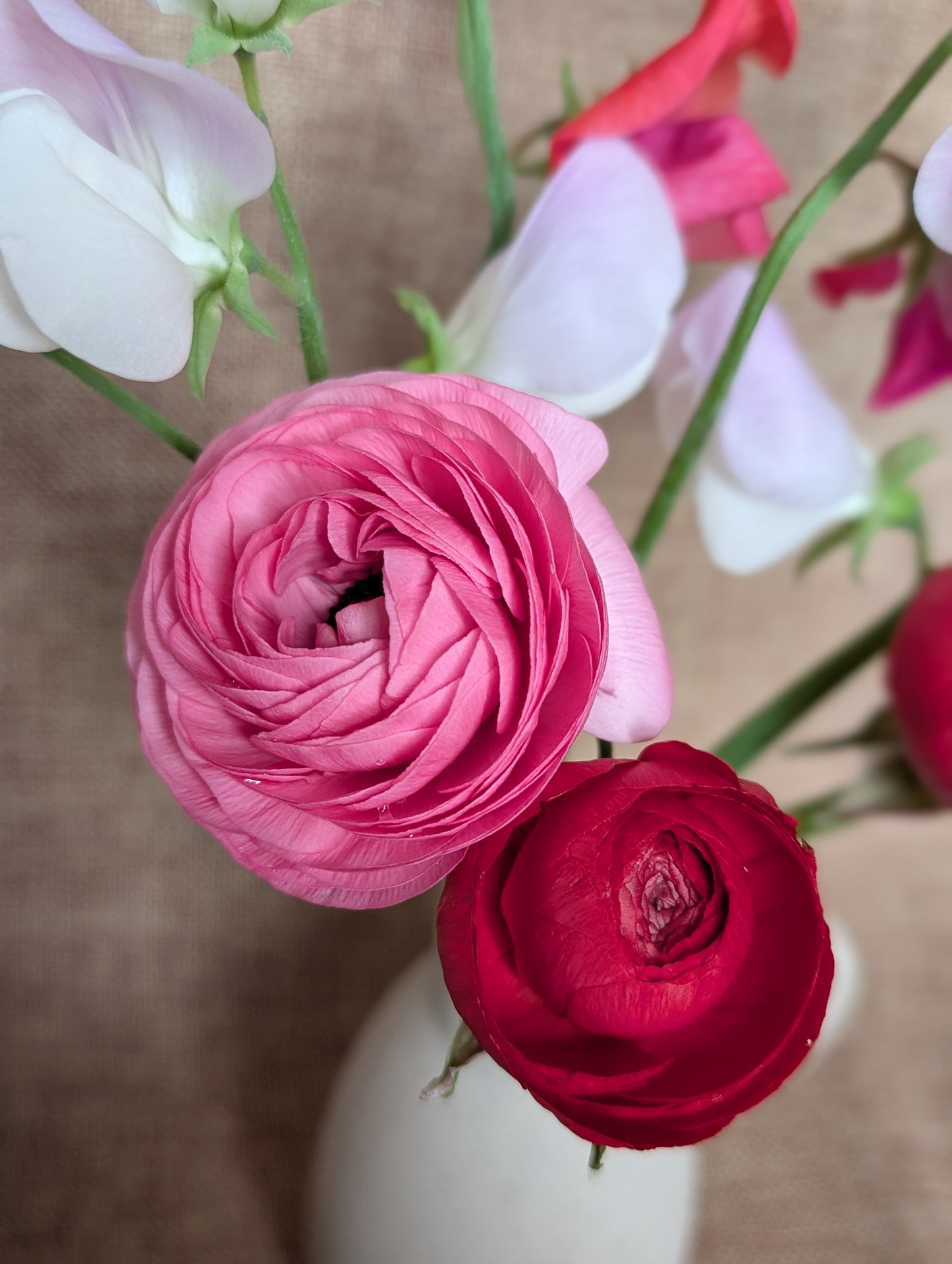 Ranunculus and sweet pea bunch - vibrant