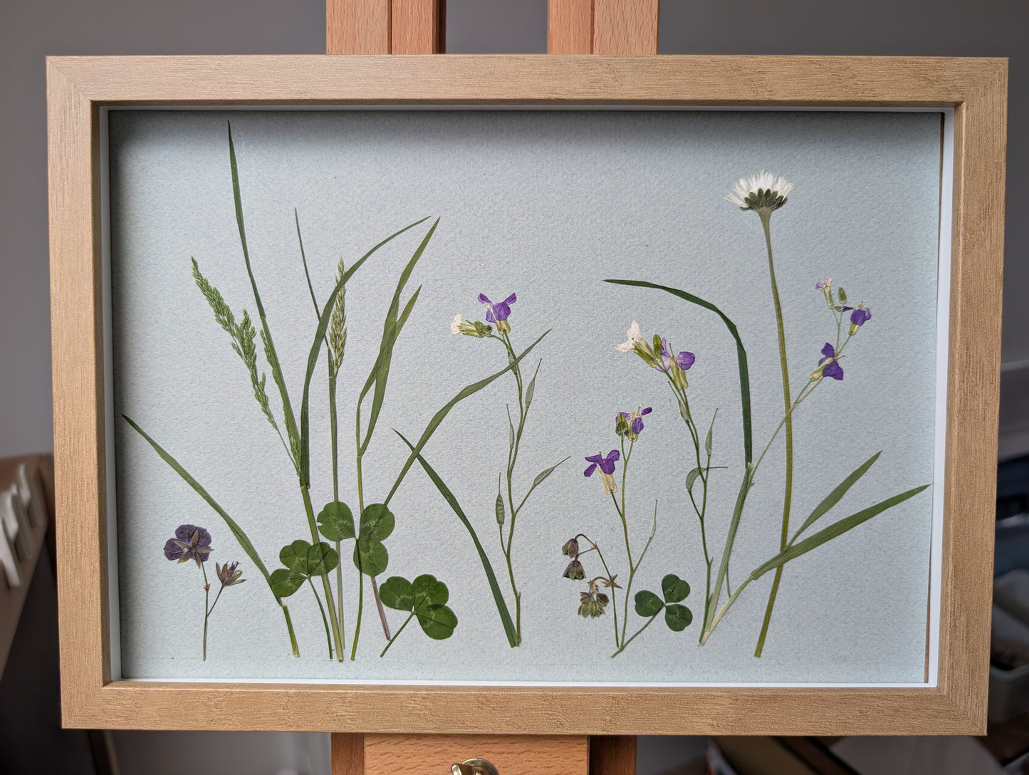 Framed Pressed Flowers: Spring Meadow
