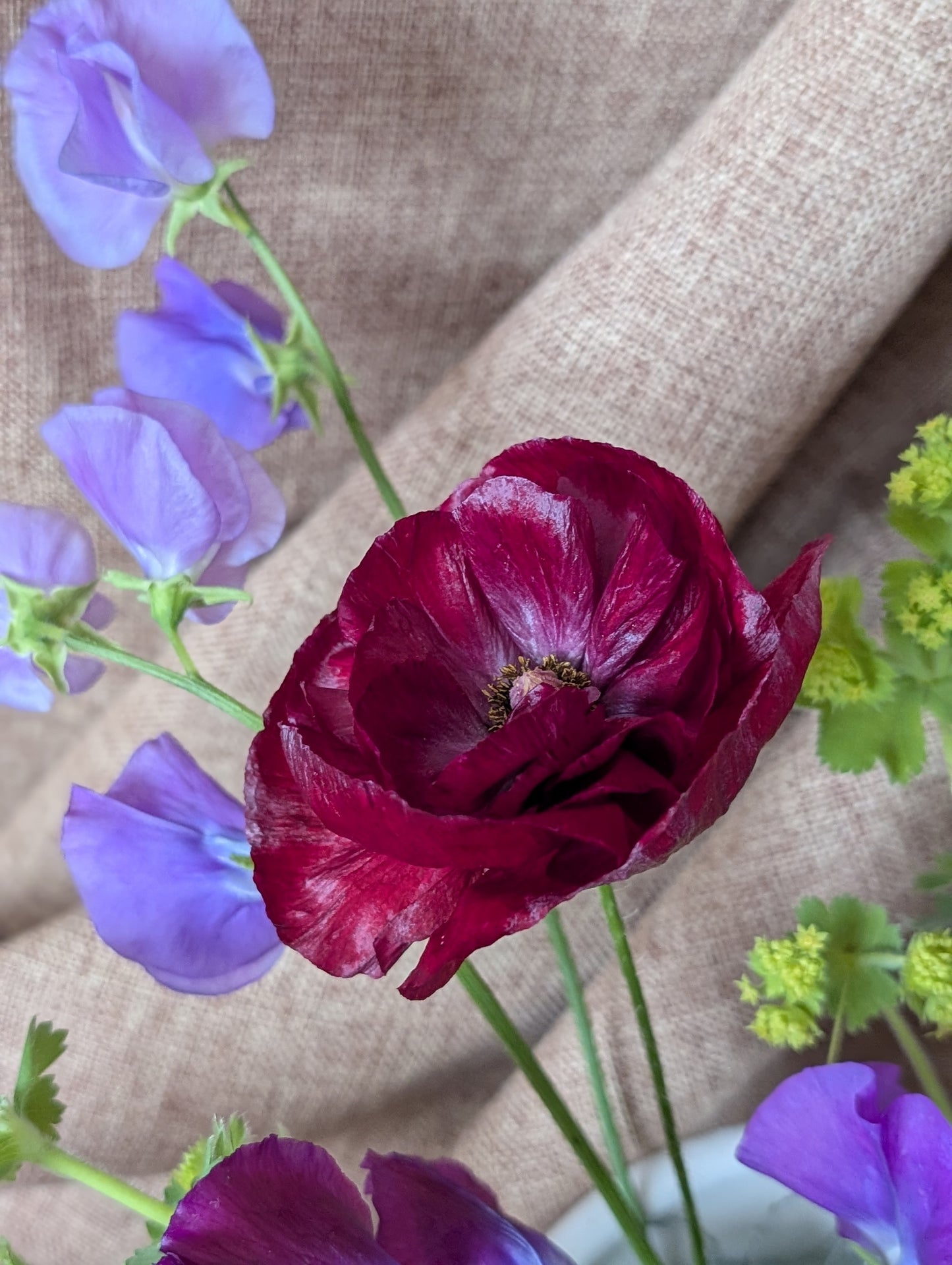 Poppy with sweet pea bunch (free top up to last at least a week)