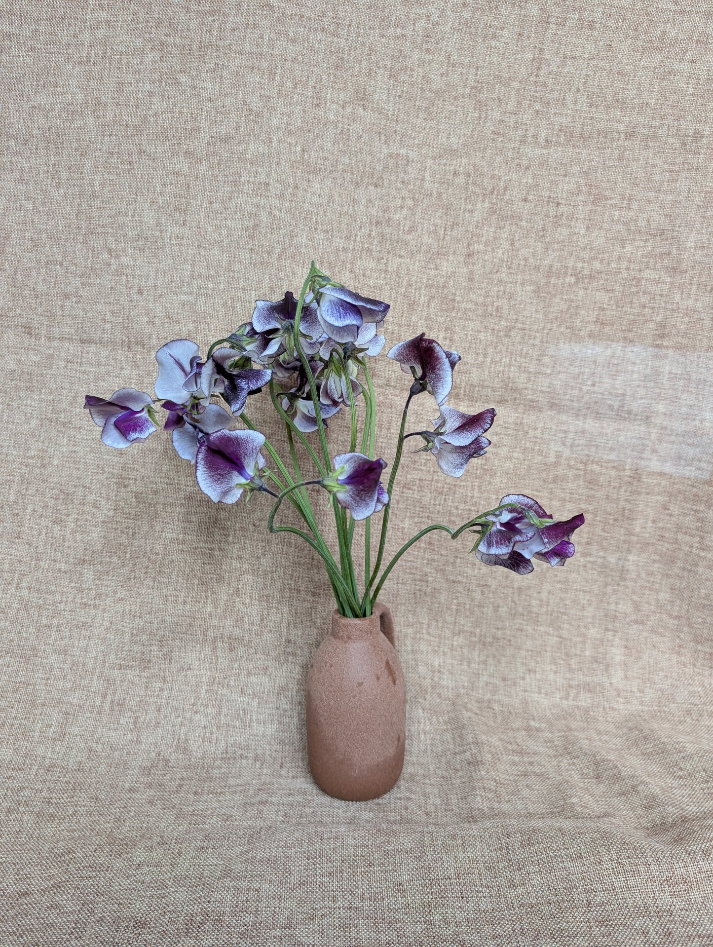 Sweet pea bunch in purple with white
