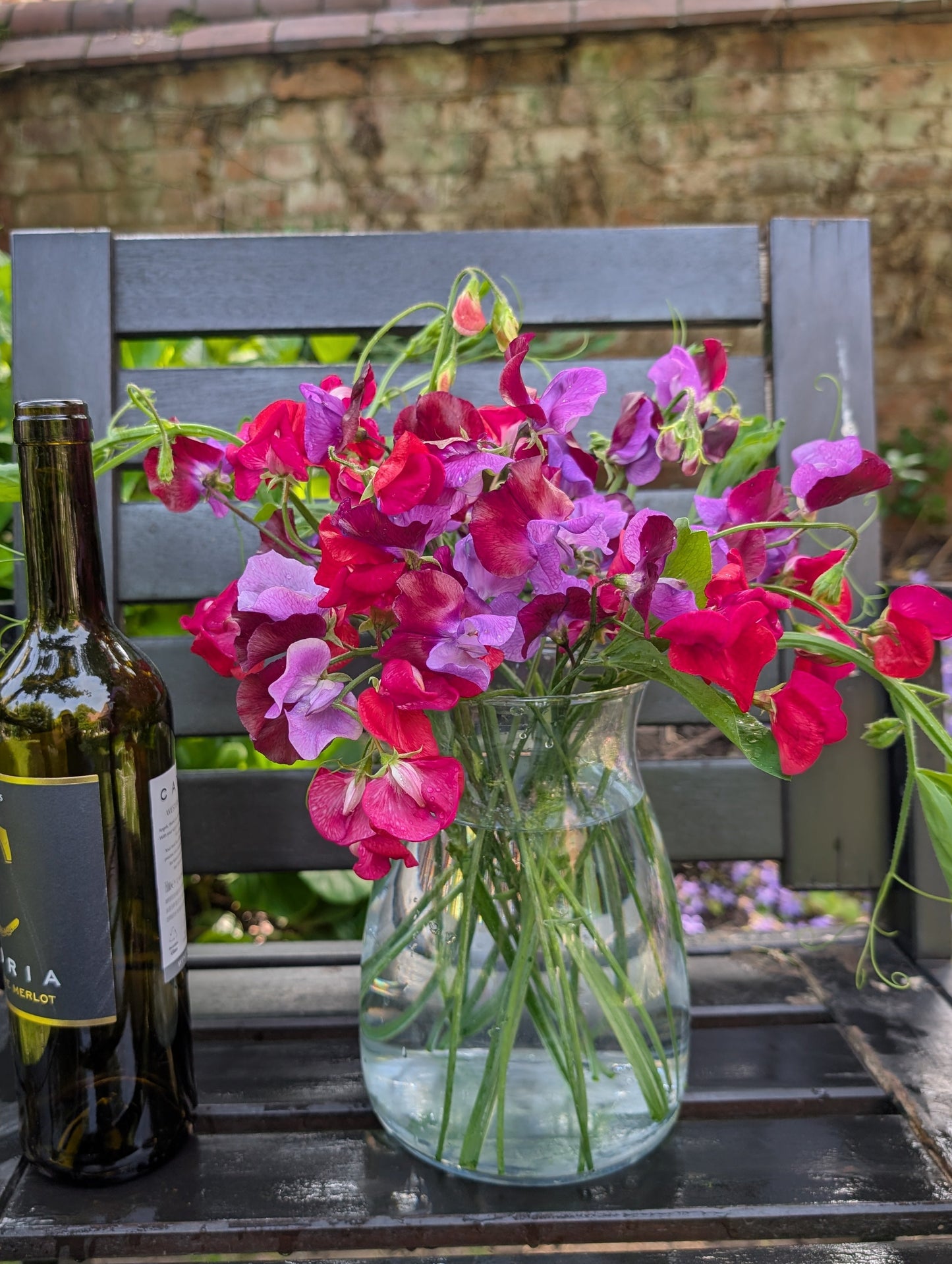 Sweet pea subscription