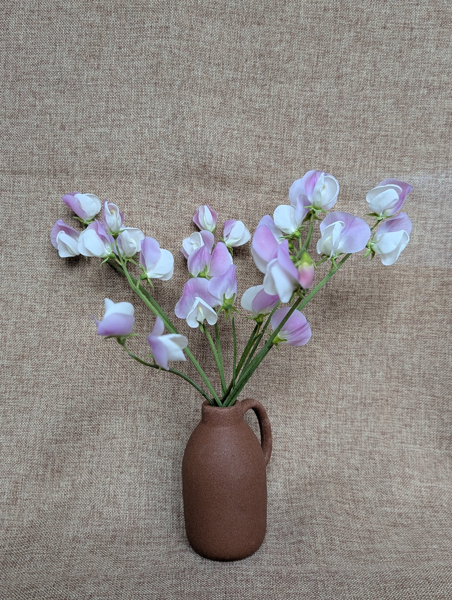 Sweet pea bunch in soft pink and white with great scent