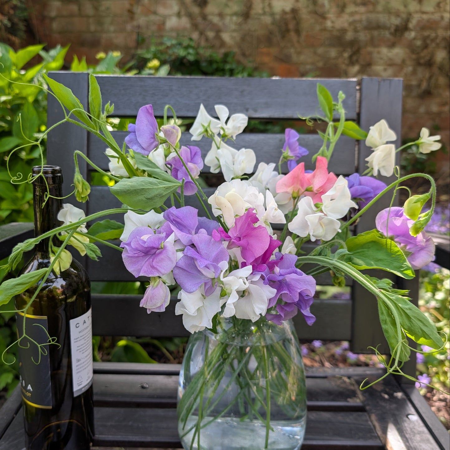 Sweet pea subscription