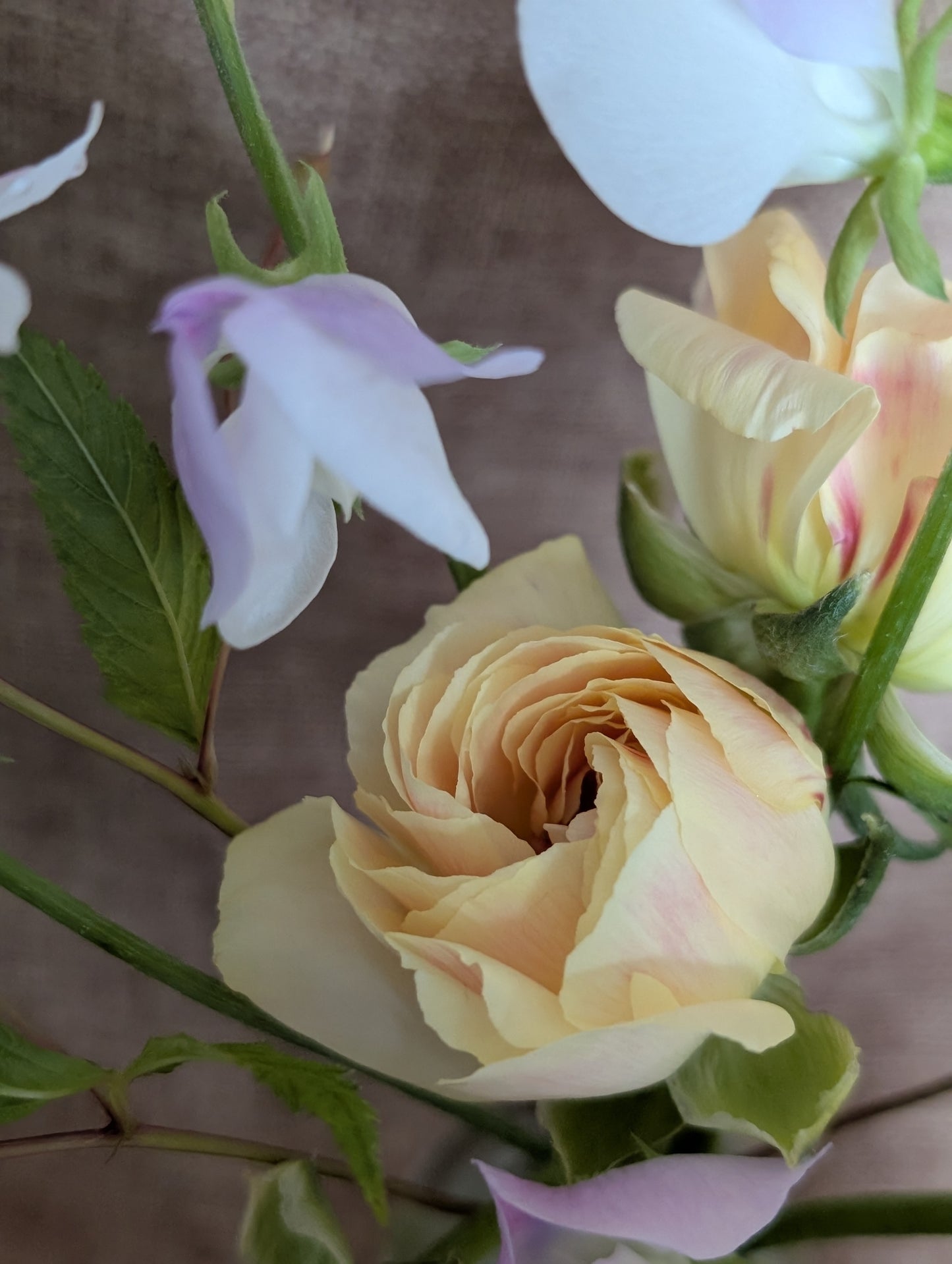 Ranunculus and sweet pea bunch - pastel