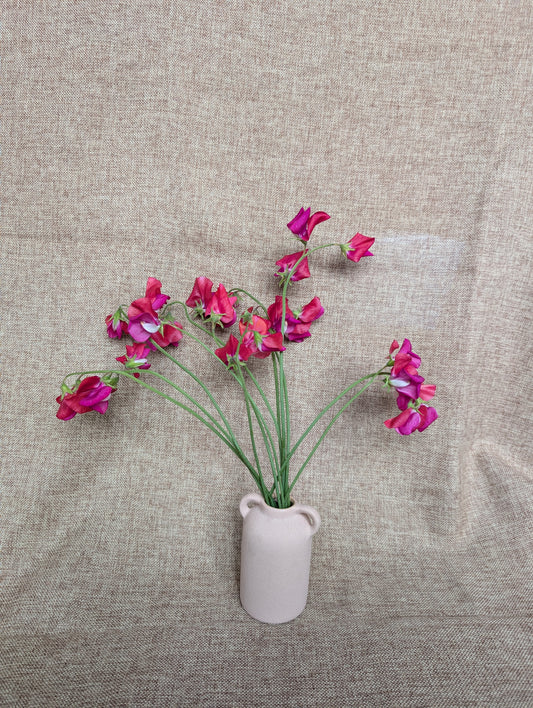 Sweet pea bunch in scarlet colour