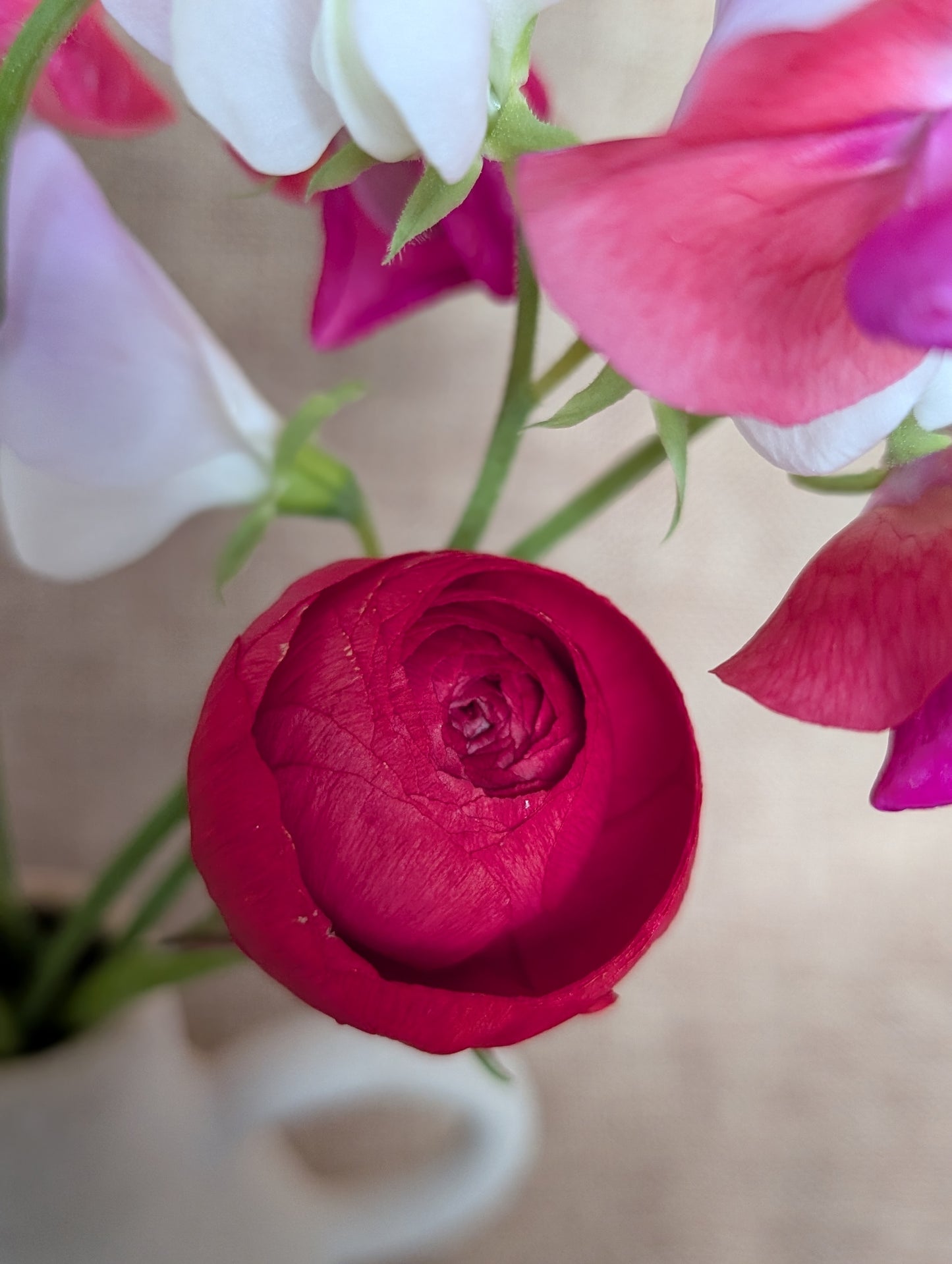 Ranunculus and sweet pea bunch - vibrant
